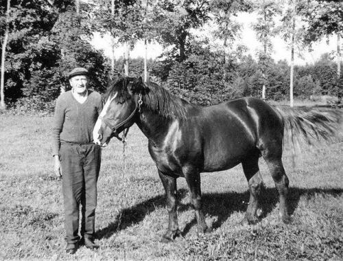 Unbenannt-Scannen-09 Poldis Jaan Rosenberg vangist tagasi 70