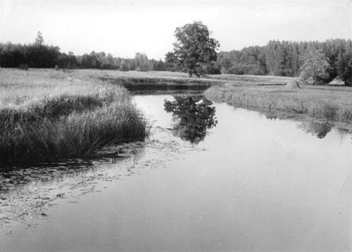 Loodus Karuskose-Koskela kandis