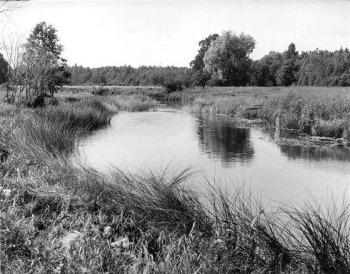 Loodus Koskela-Karuskose kandis