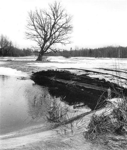 Mulgi heinamaa  E Veliste-01