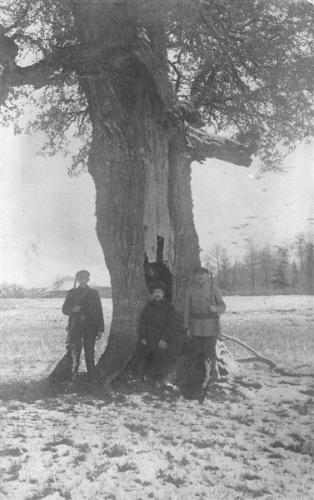 Unbenannt-Scannen-55 Noosikoti tamm 30-ndad Karusekosel ripu