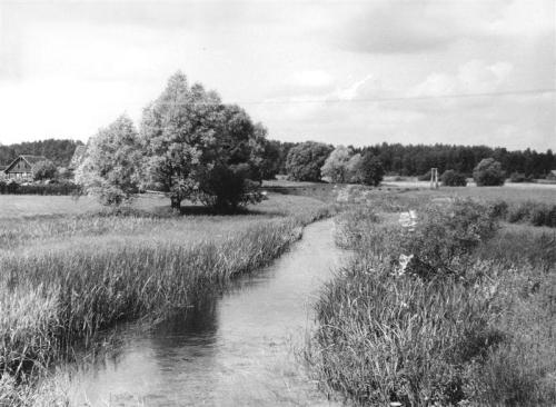 vaade Tammearu rippsillale 1970