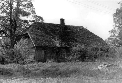 Pauna vist 1983