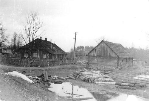 Unbenannt-Scannen-04 Halliselja 1982 kevad metsavahikoht