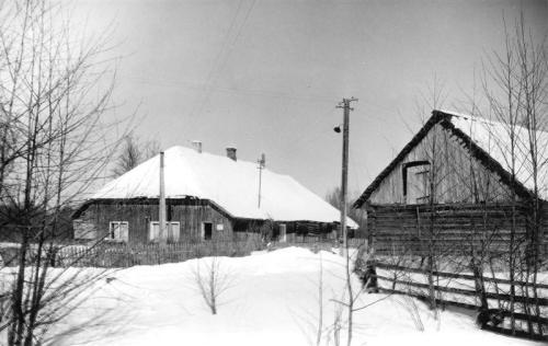 Unbenannt-Scannen-26 Halliselja metsavahikoht 1987