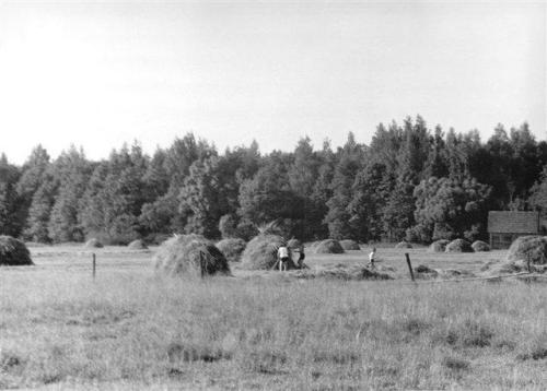 heinategu L ti luhal 1970a